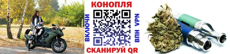 Наркотические вещества Кувшиново ГАШ  Галлюциногенные грибы  Меф 