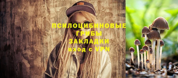 мдма Пересвет