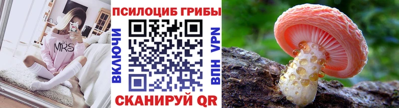 Галлюциногенные грибы прущие грибы  продажа наркотиков  Кувшиново 